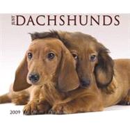 Just Dachshunds 2009 Calendar