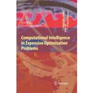 Computational Intelligence in Expensive Optimization Problems