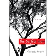 The Perfect Man A Novel