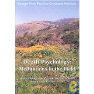 Depth Psychology : Meditations in the Field