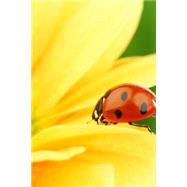 Ladybug on a Yellow Flower, for the Love of Nature