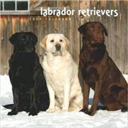 Labrador Retrievers 2009 Calendar