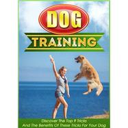 Dog Training Discover The Top 9 Tricks And The Benefits Of These Tricks For Your Dog