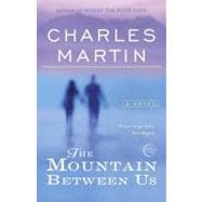 The Mountain Between Us A Novel