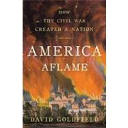 America Aflame How the Civil War Created a Nation