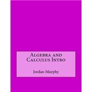 Algebra and Calculus Intro