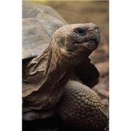 A Galapagos Tortoise Portrait Lined Journal