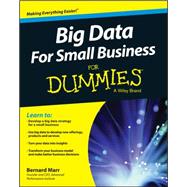 Big Data for Small Business for Dummies