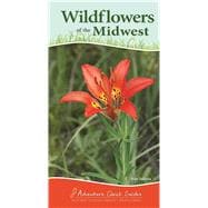 Wildflowers of the Midwest