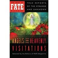 Angels and Heavenly Visitations