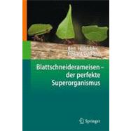 Blattschneiderameisen Der Perfekte Superorganismus