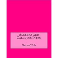 Algebra and Calculus Intro