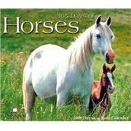 365 Days of Horses 2009 Calendar