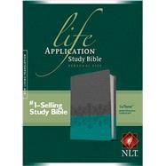 Life Application Study Bible