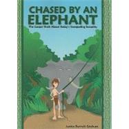 Chased by an Elephant: The Gospel Truth about Today's Stampeding Sexuality