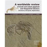A Worldwide Review of Fossil and Extant Glypheid and Litogastrid Lobsters Crustacea, Decapoda, Glypheoidea