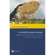 Reveiller Le Geant Dormant Africain / Waking the Sleeping African Giant: Perspectives Pour Une Agriculture Commerciale Competitive Dans La Zone Guineenne Et Au-dela