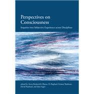 Perspectives on Consciousness and Experience Highlighting Subjective Experience book cover, ISBN 9780262547062
