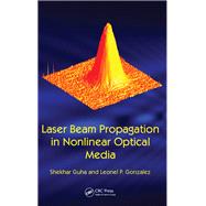 Laser Beam Propagation in Nonlinear Optical Media