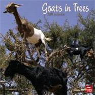 Goats in Trees 2011 Calendar