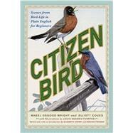 Citizen Bird