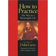 How to Practice : The Way to a Meaningful Life