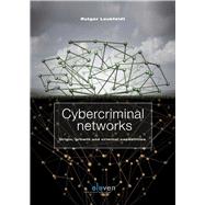 Cybercriminal Networks Origin, growth and criminal capabilities
