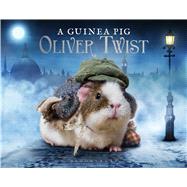 A Guinea Pig Oliver Twist