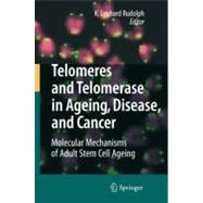 Telomeres and Telomerase in Ageing, Disease, and Cancer