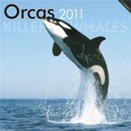 Orcas/Killer Whales 2011 Calendar