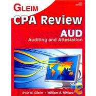 CPA Review 2009: Auditing