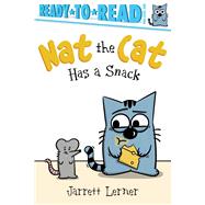 Nat the Cat Has a Snack Ready-to-Read Pre-Level 1