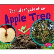 The Life Cycle of an Apple Tree
