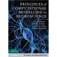 Principles of Computational Modelling in Neuroscience