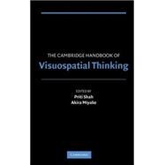 The Cambridge Handbook of Visuospatial Thinking