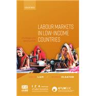 Labour Markets in Low-Income Countries Challenges and Opportunities