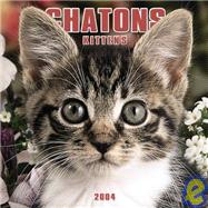 Chatons Kittens 2004 Calendar