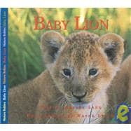 Baby Lion
