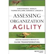 Assessing Organization Agility