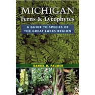 Michigan Ferns & Lycophytes