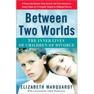 Between Two Worlds The Inner Lives of Children of Divorce