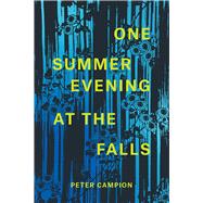 One Summer Evening at the Falls