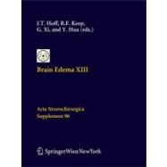 Brain Edema XIII
