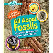 All About Fossils: Discovering Dinosaurs and Other Clues to the Past (A True Book: Digging in Geology)