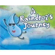 A Raindrop's Journey