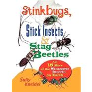 Stink Bugs, Stick Insects, and Stag Beetles And 18 More of the Strangest Insects on Earth