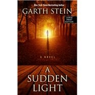 A Sudden Light