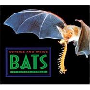 Outside And Inside Bats