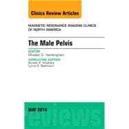 The Male Pelvis