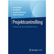 Projektcontrolling